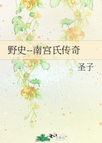 《野史--南宫氏传奇》