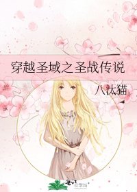 《穿越圣域之圣战传说》