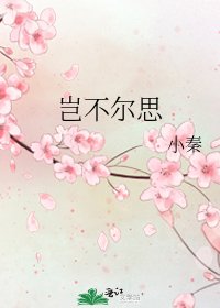 《岂不尔思》