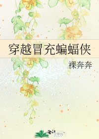 《穿越冒充蝙蝠侠》