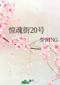 《惊魂街20号》
