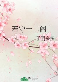 《若守十二阁》