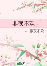 《非夜不欢》