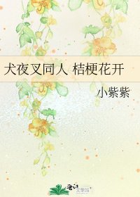 犬夜叉同人 桔梗花开