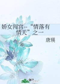 《娇女闯宫--“情落有情天”之一》