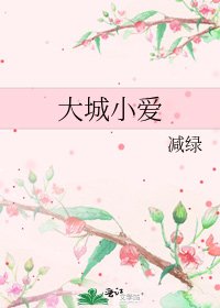 《大城小爱》
