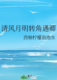 《清风月明转角遇卿》