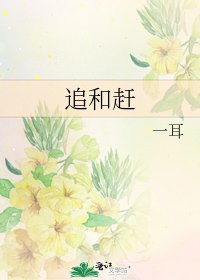 《追和赶》