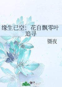 《缘生已空:花自飘零叶追寻》