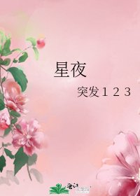 星夜