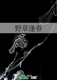 《野草逢春》