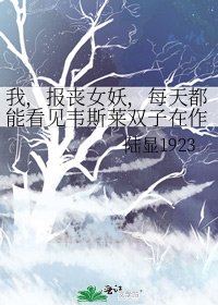 《我,报丧女妖,每天都能看见韦斯莱双子在作死》