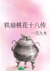 《铁扇桃花十八传》