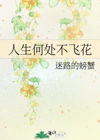《人生何处不飞花》