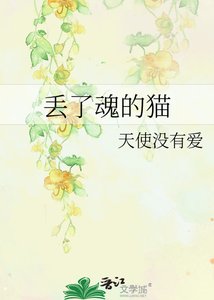《丢了魂的猫》