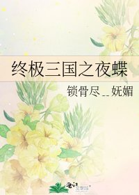 终极三国之夜蝶