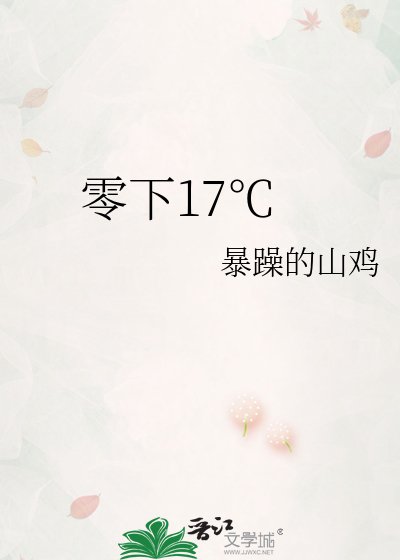 零下17℃