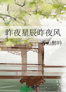 《昨夜星辰昨夜风》