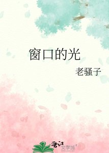 《窗口的光》