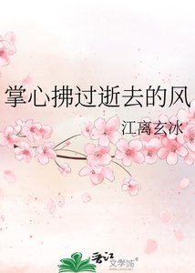 掌心拂过逝去的风