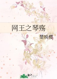 《网王之琴殇》