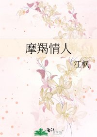 摩羯情人