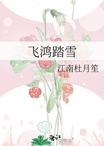 《飞鸿踏雪》