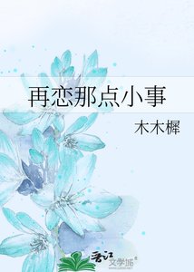 《再恋那点小事》
