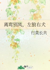 《离鸾别凤,左狼右犬》