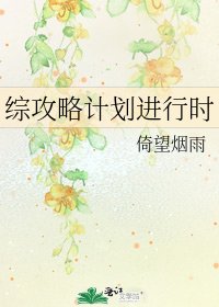 《综攻略计划进行时》