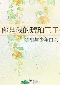 你是我的琥珀王子