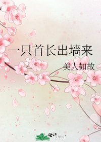 《一只首长出墙来》