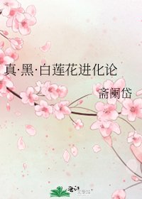 《真·黑·白莲花进化论》