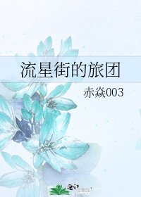 《流星街的旅团》
