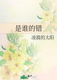 是谁的错