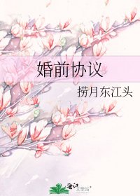 《婚前协议》