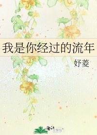 我是你经过的流年