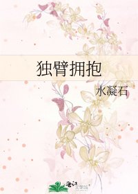 《独臂拥抱》