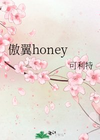 《傲翼honey》