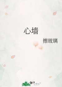 心墙