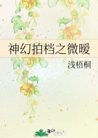 《神幻拍档之微暧》