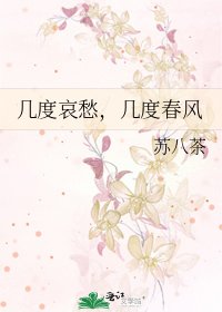 《几度哀愁,几度春风》