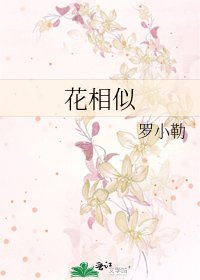 《花相似》
