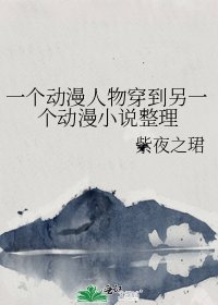 《一个动漫人物穿到另一个动漫整理》