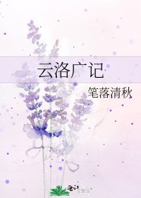 《云洛广记》