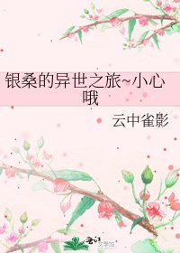 《银桑的异世之旅~小心哦》