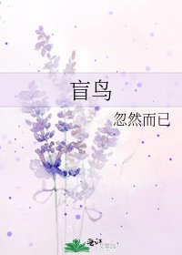 《盲鸟》