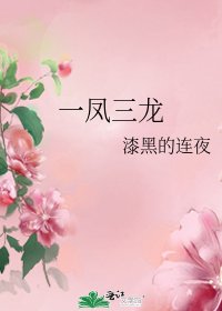 《一凤三龙》