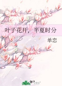《叶子花开,半夏时分》