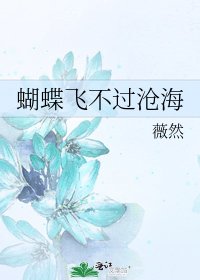 《蝴蝶飞不过沧海》
